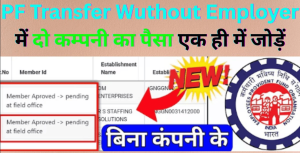 PF Transfer Wuthout Employer