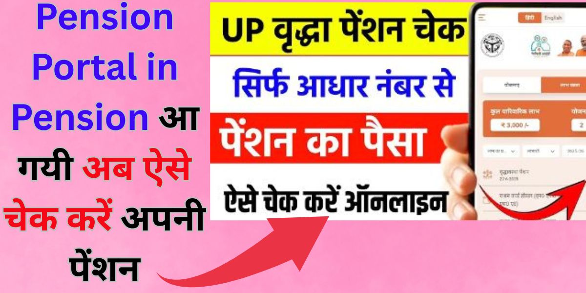 Pension Portal in Pension