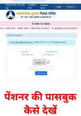 Pension Portal in Pension