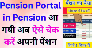 Pension Portal in Pension