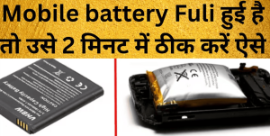 Mobile battery Fuli