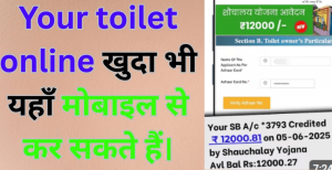 Your toilet online