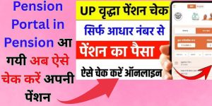 Pension Portal in Pension