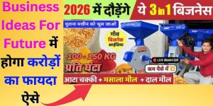 Business Ideas For Future